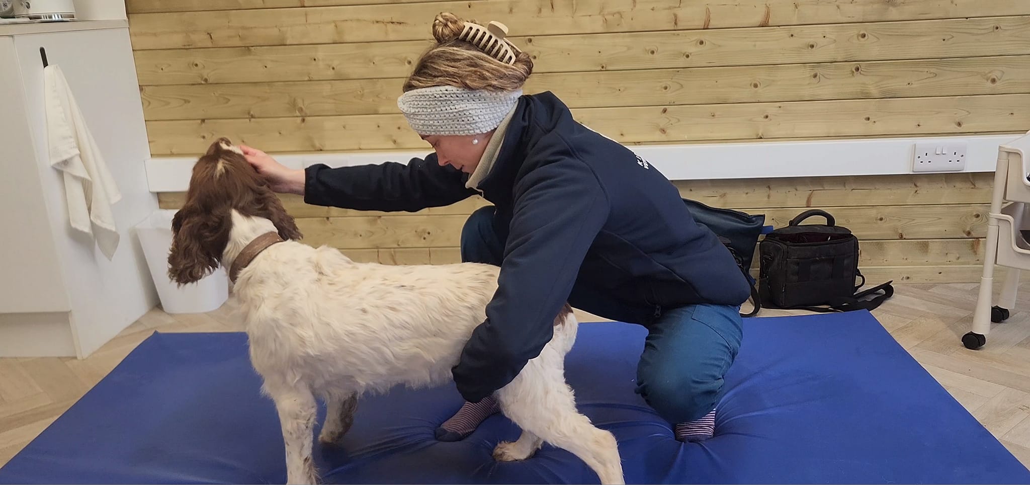 Canine physiotherapy Cornwall