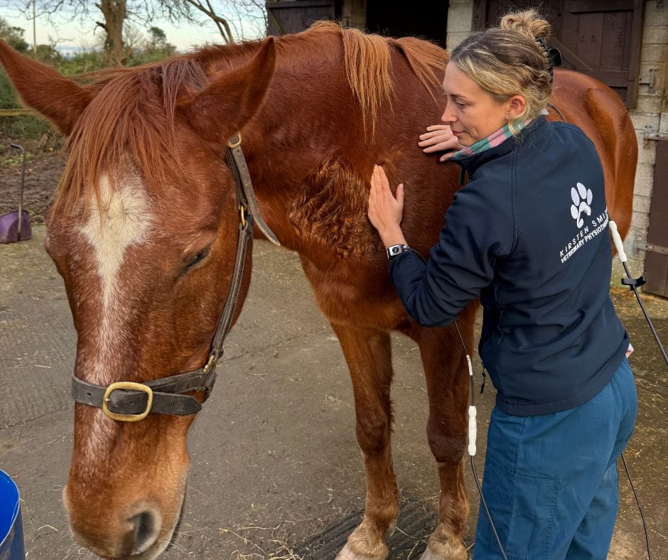 Equine physiotherapy Cornwall