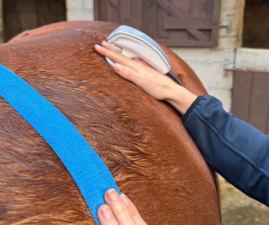 Equine radiofrequency physiotherapy treatment