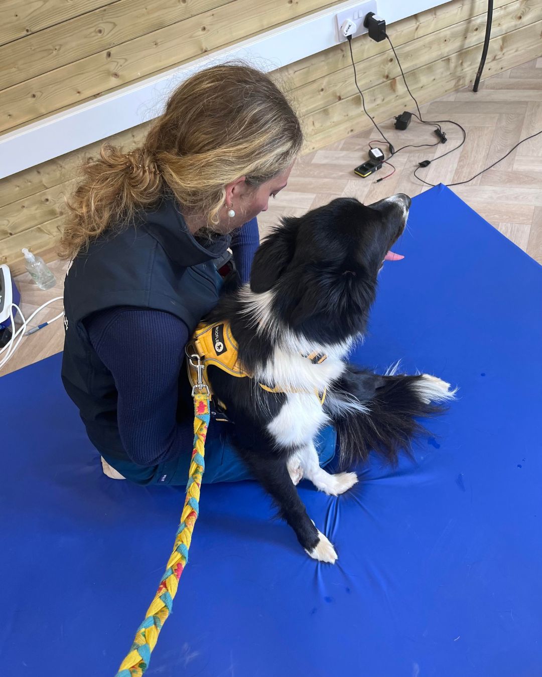 Kirsten Vet Physio Cornwall