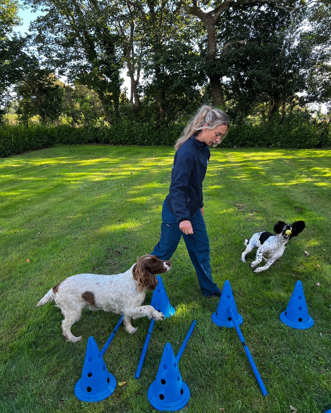 Kirsten Vet Physio Cornwall