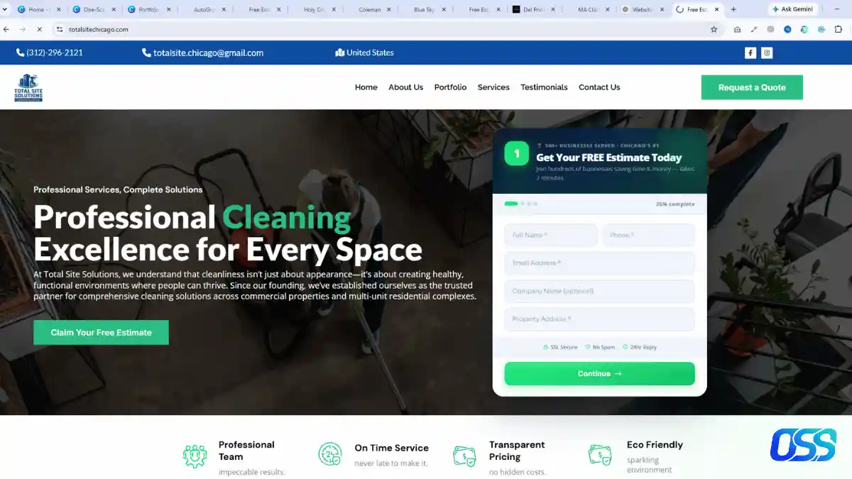 Pro Cleaning Services screenshot preview