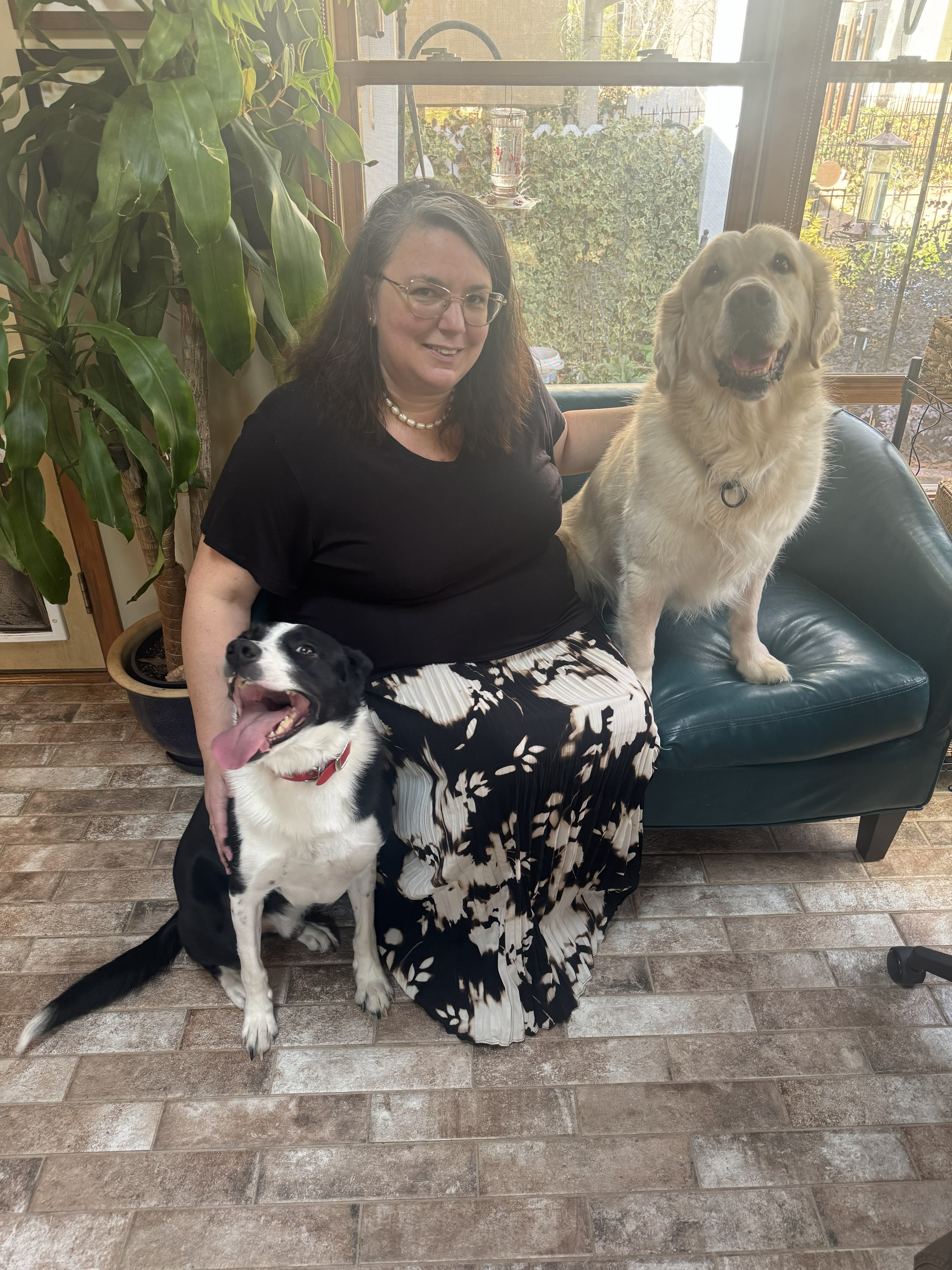 What to Do When Your Dog Won't Come When Called