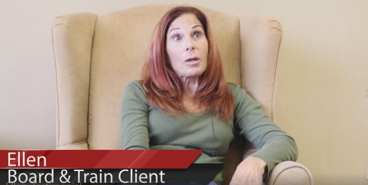 Video testimonial from a Clever Canine Dog Training client in Macomb County Michigan