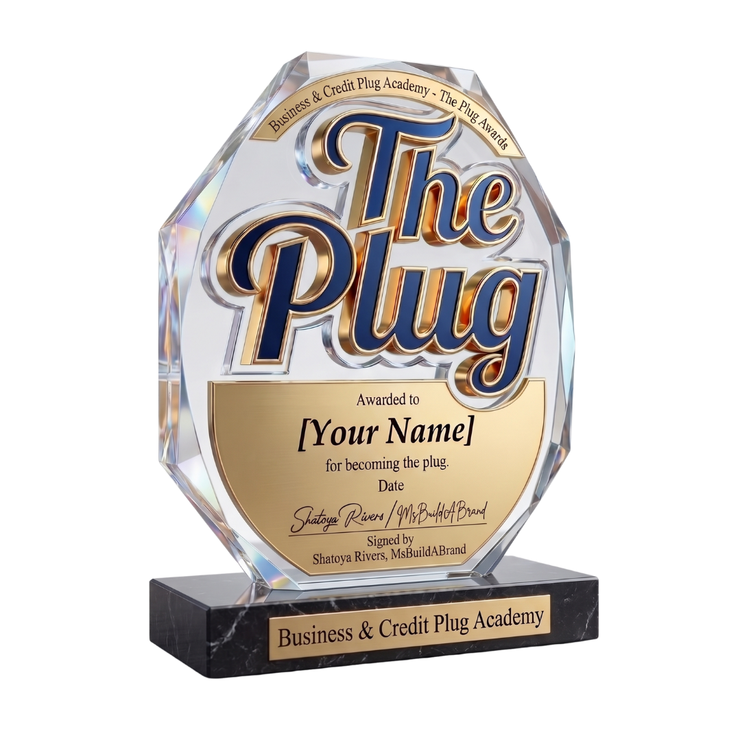 The Plug Award