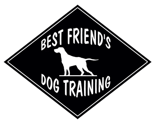 Best Friend's Dog Training