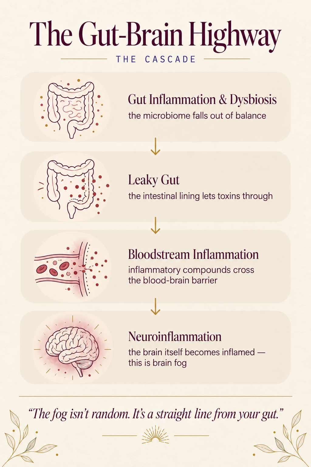 The gut-brain highway — your gut is your second brain