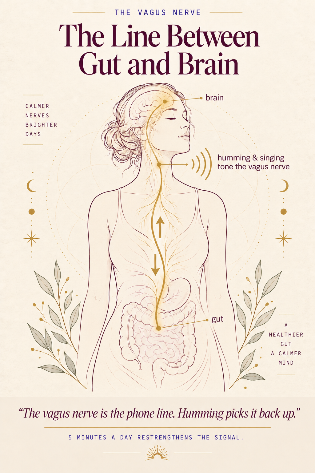 Vagus nerve support — restoring vagal tone rebalances gut and brain