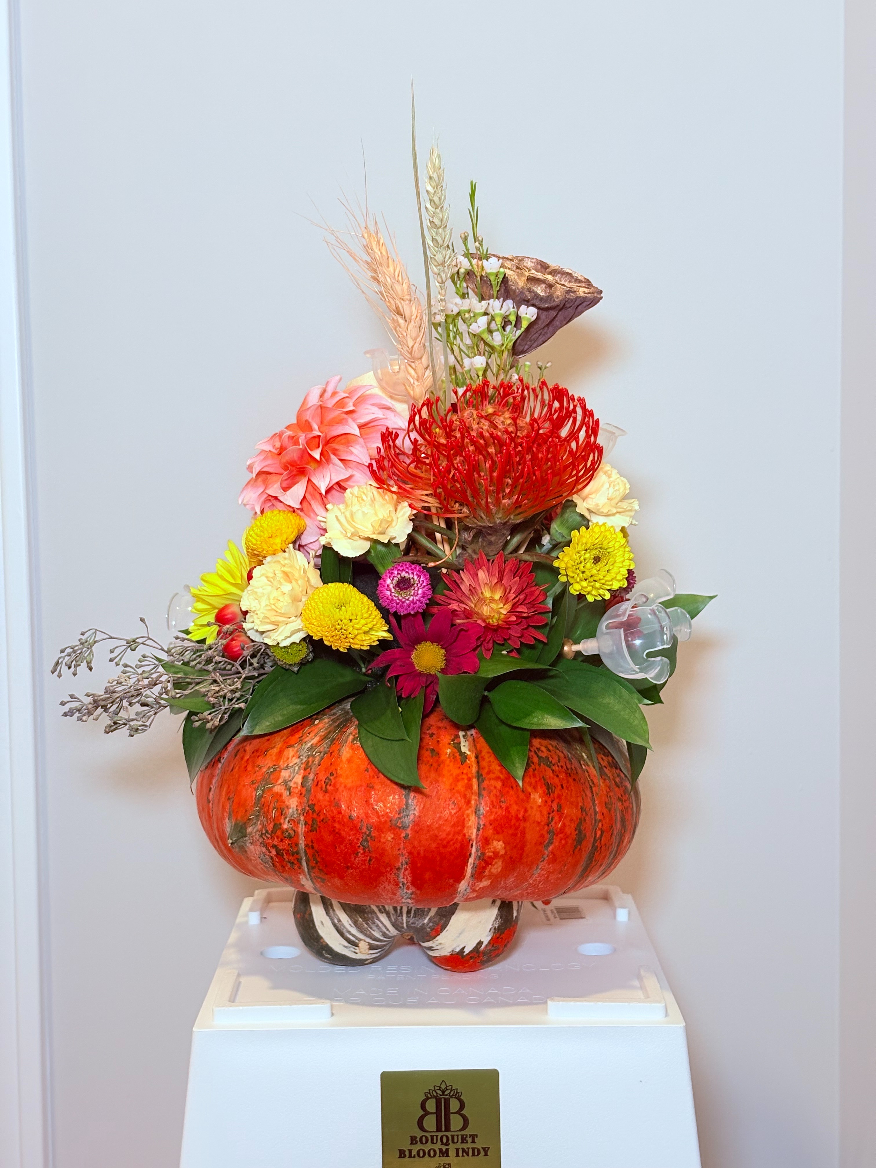 Seasonal Editions