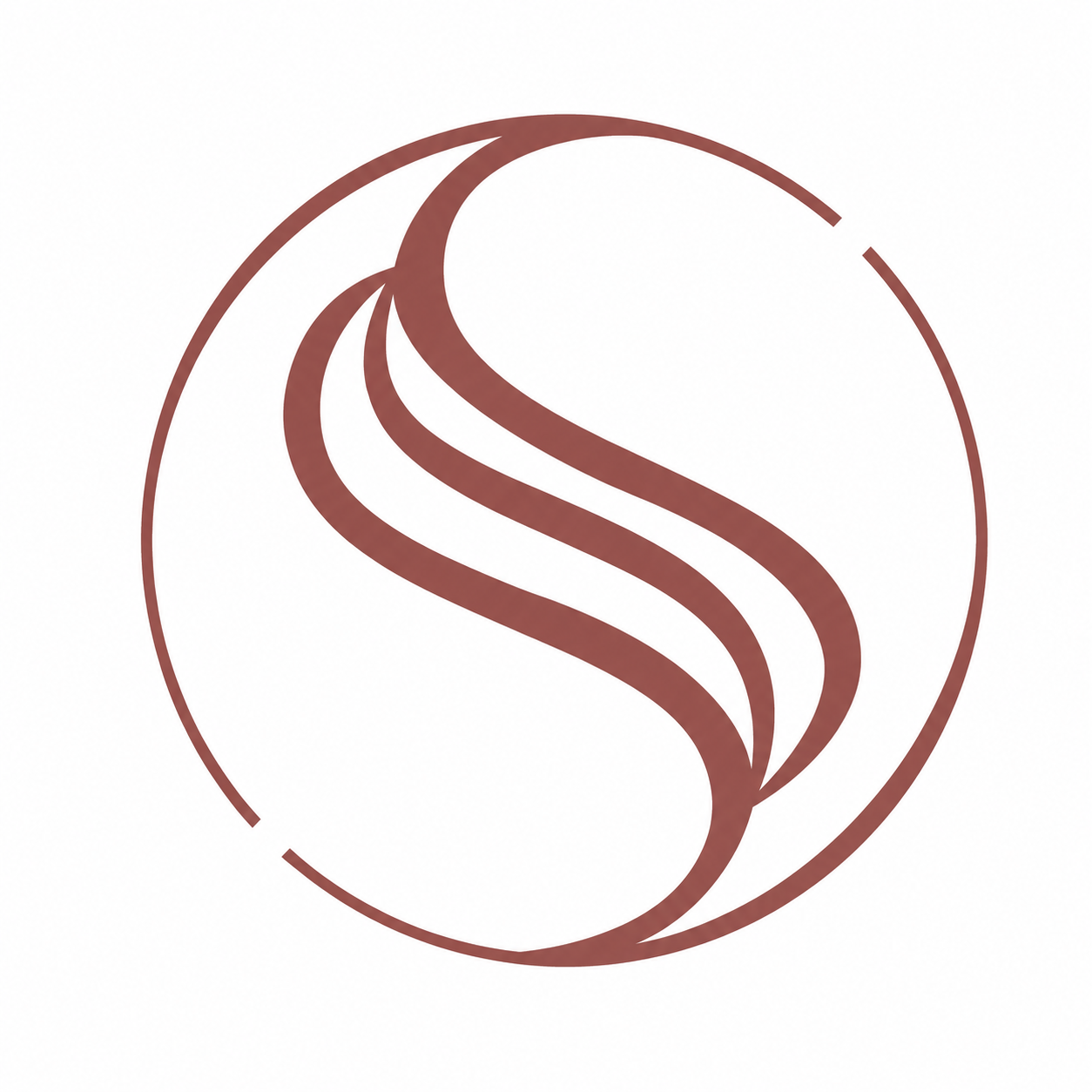StepStrong Solutions logo