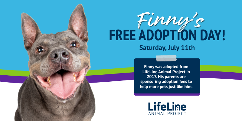 Graphic promoting Finny's Free Adoption Day on Saturday, July 11. A smiling gray dog named Finny appears beside text explaining that he was adopted from LifeLine Animal Project in 2017 and that his family is sponsoring adoption fees for one day to help more pets find loving homes. The LifeLine Animal Project logo appears at the bottom.