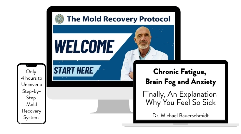 Mold Recovery Protocol Course