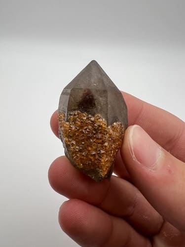 Rare Specimen Sourcing 6275 Joyce Dr, Arvada CO