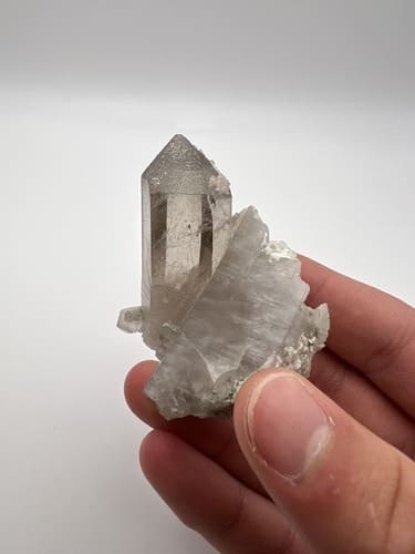 Online Sales via Instagram 6275 Joyce Dr, Arvada CO