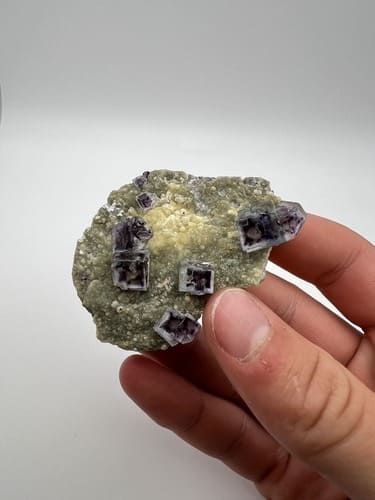 Collector Curation 6275 Joyce Dr, Arvada CO