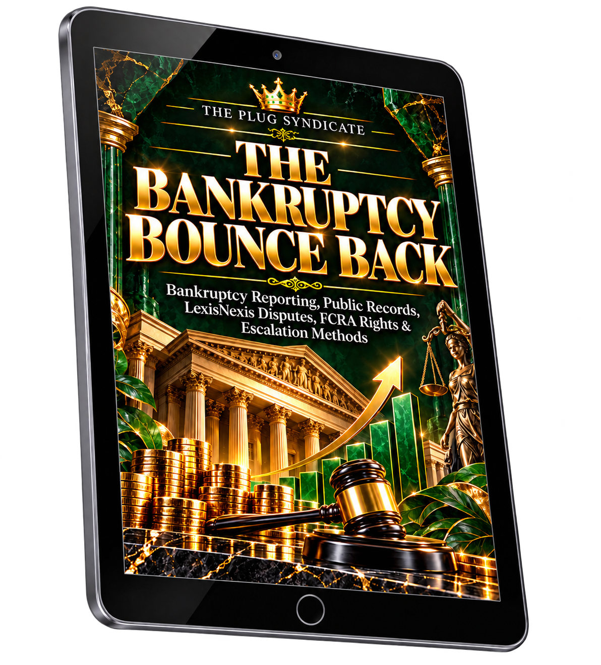 The Bankruptcy Bounce Back mockup