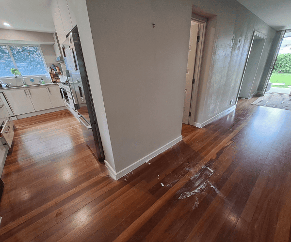 Flaking Paint Repair Henley Beach