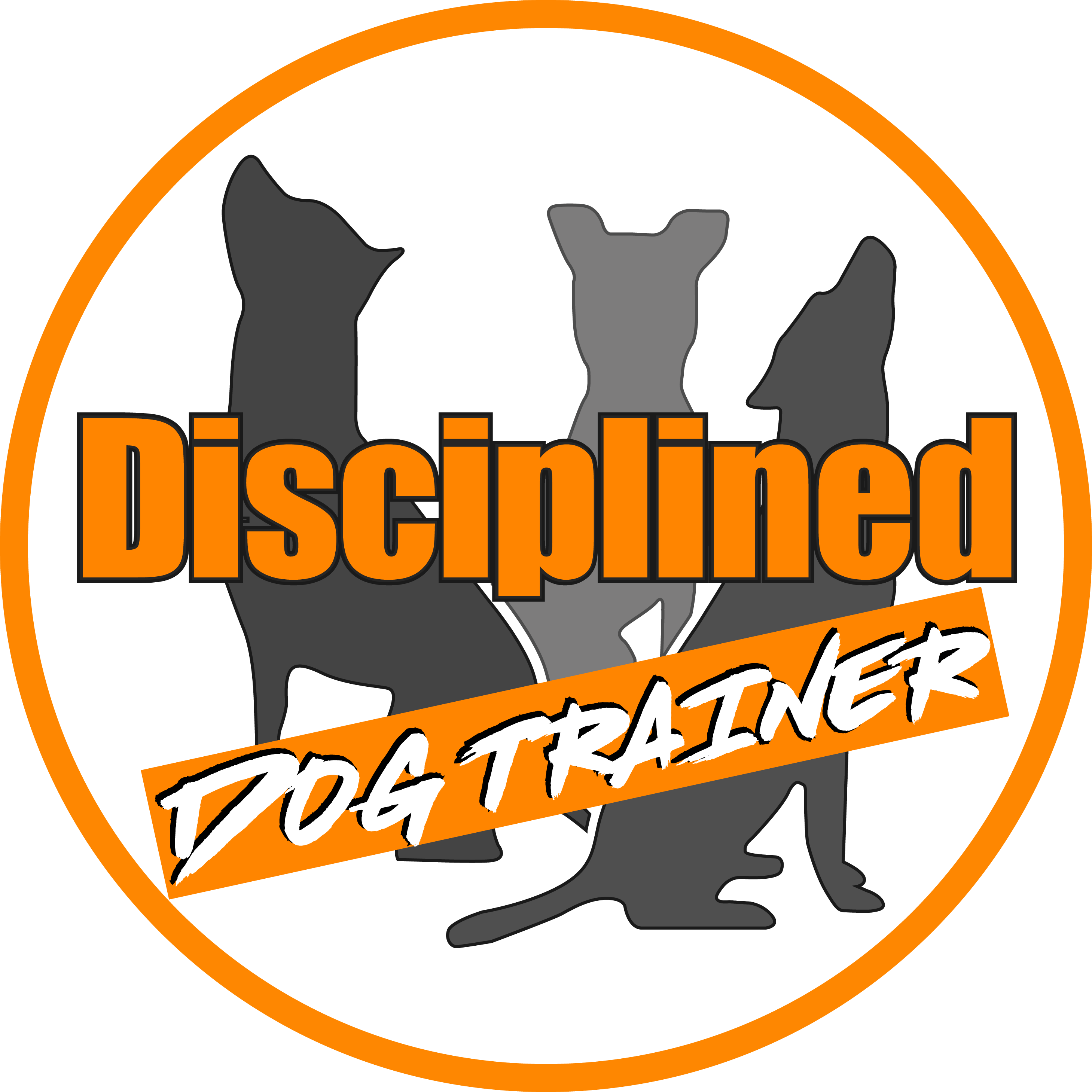 disciplined-dog-trainer