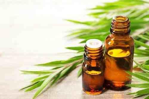 Kerassentials- tea tree essential oil