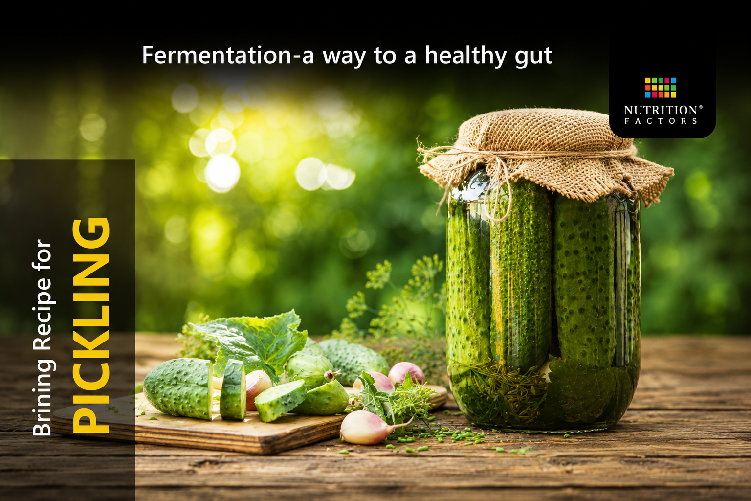 FERMENTATION-A WAY TO A HEALTHY GUT