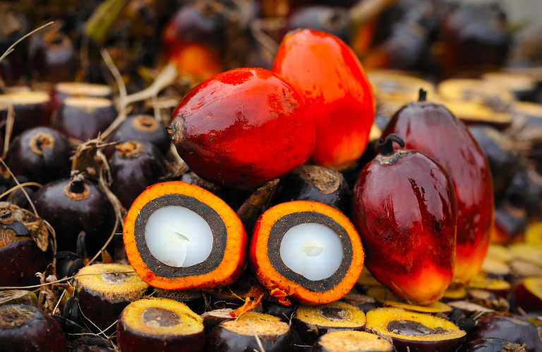 MCT OIL Helps-Open the Floodgates of Fat Cells to Release Fat. MCT Oil Helps Create Ketones That Lead to Uncoupling.