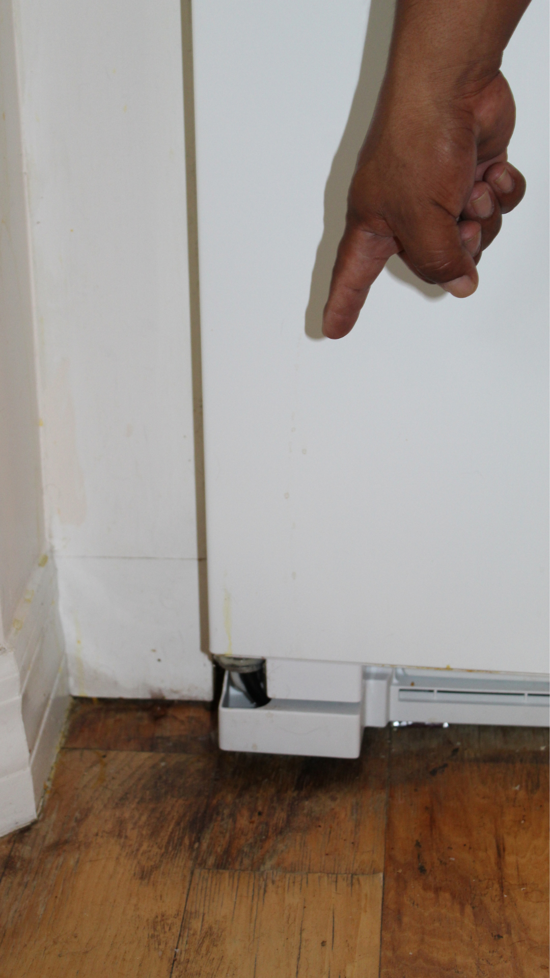 North Naples Termite Inspection