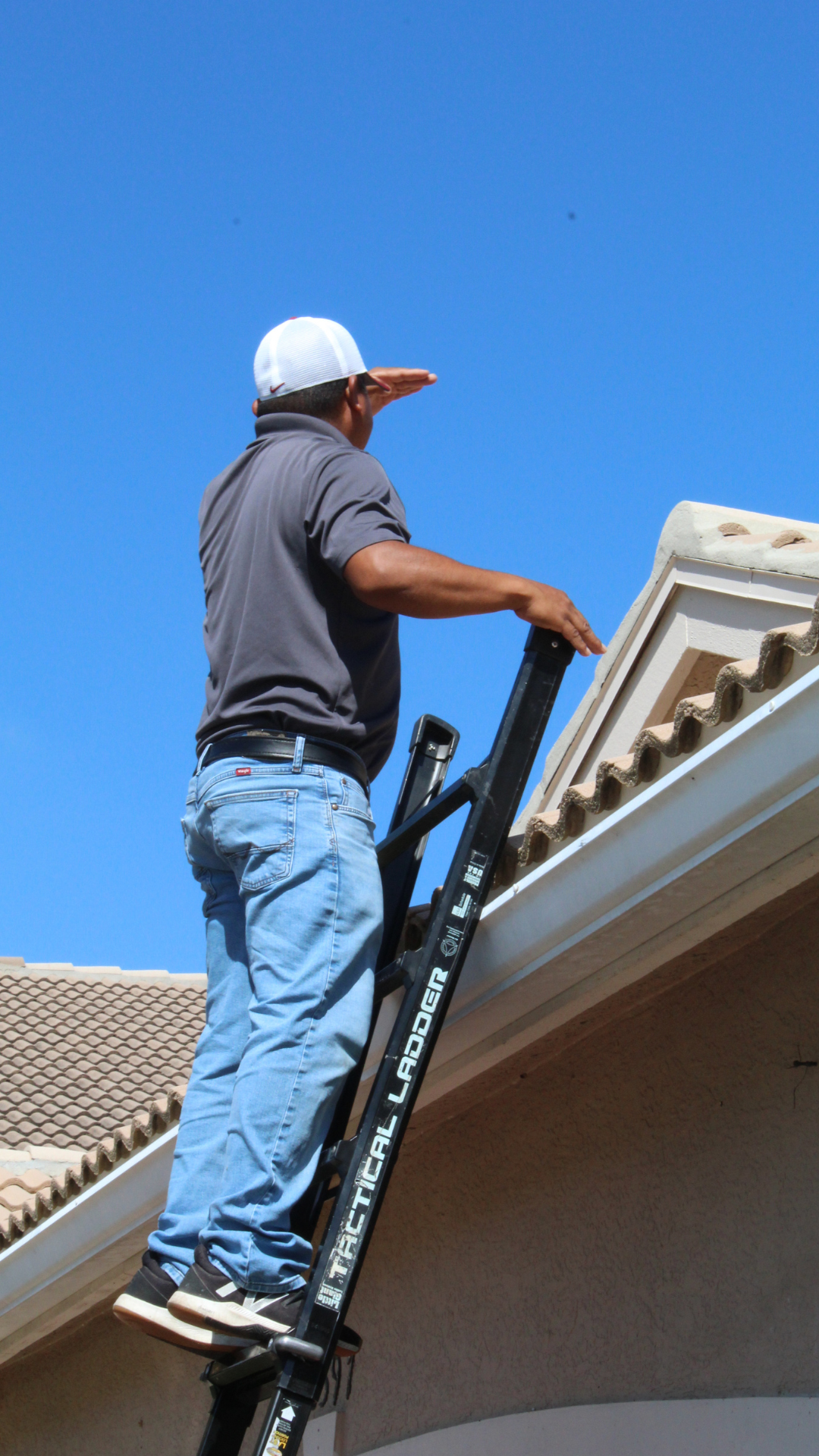 Termite Inspection Naples