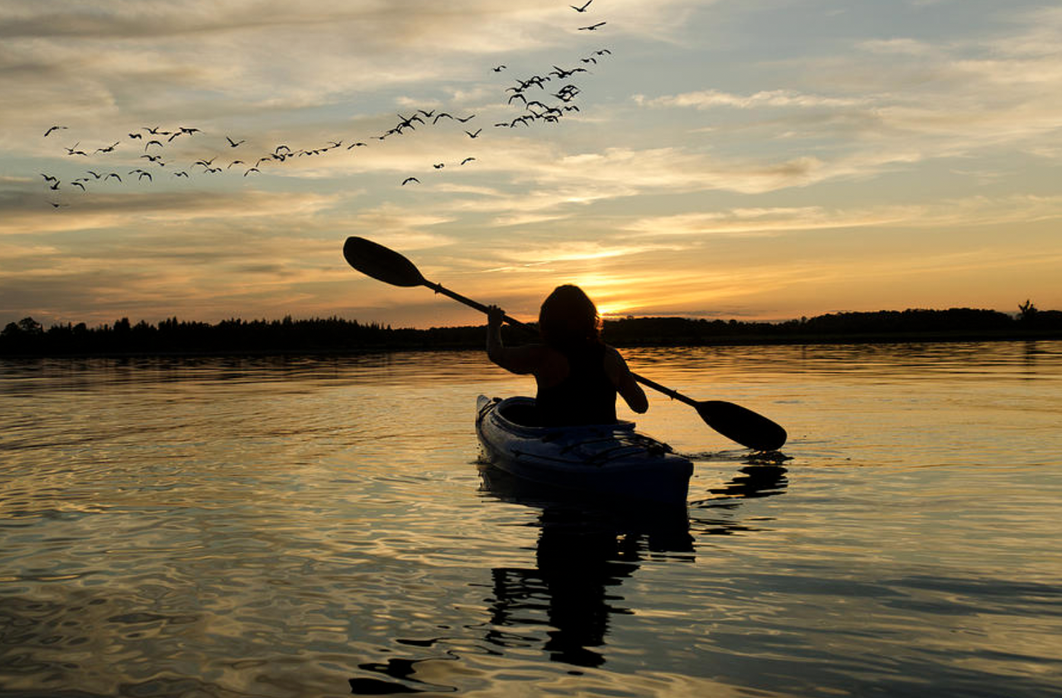 Episode art for 'Communicating Telepathically'