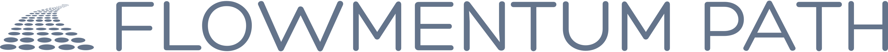 Flowmentum Logo