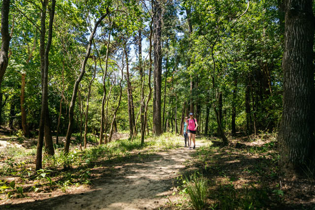 The Woodlands Texas Hiking Trail