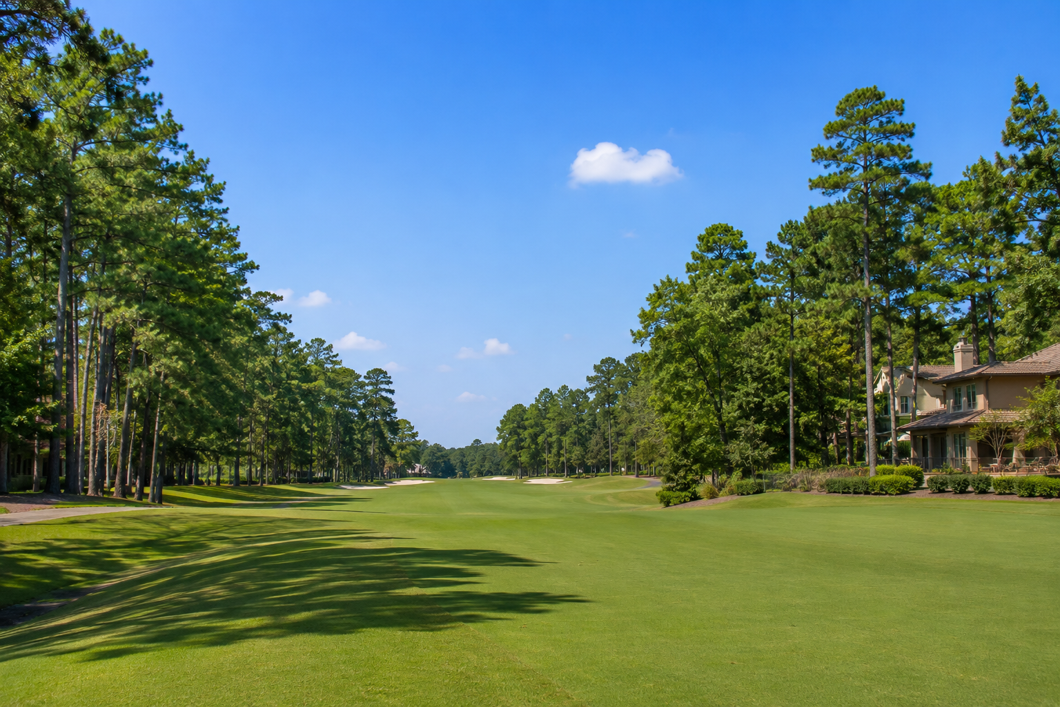 cochrans-crossing-the-woodlands-tx-palmer-course