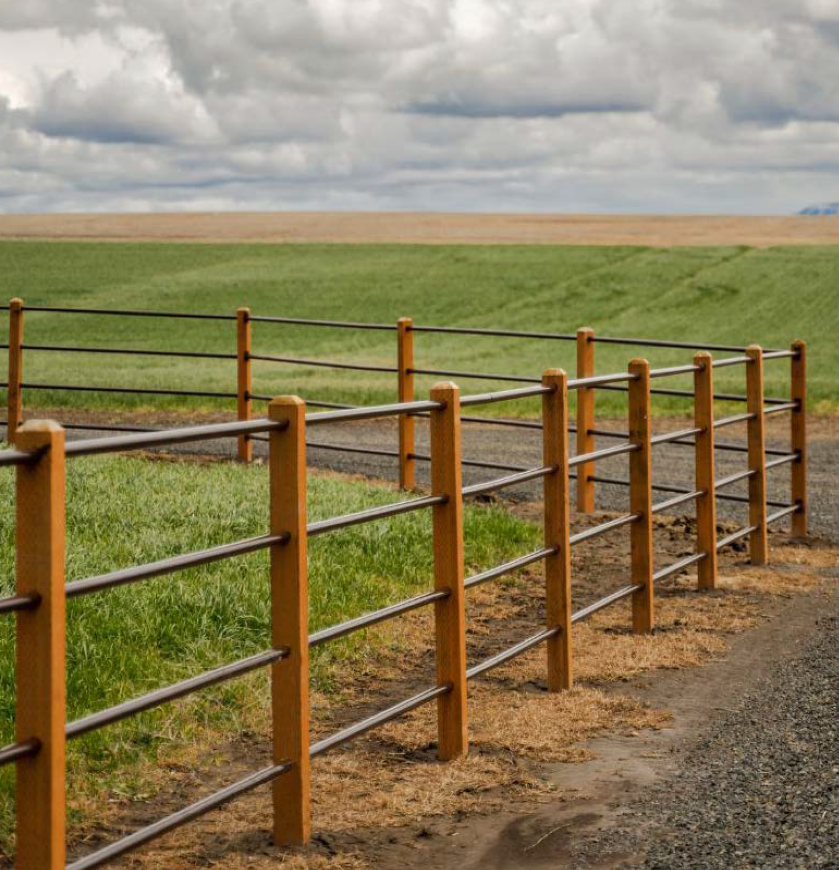 Equestrian trail through Bellarossa private grounds