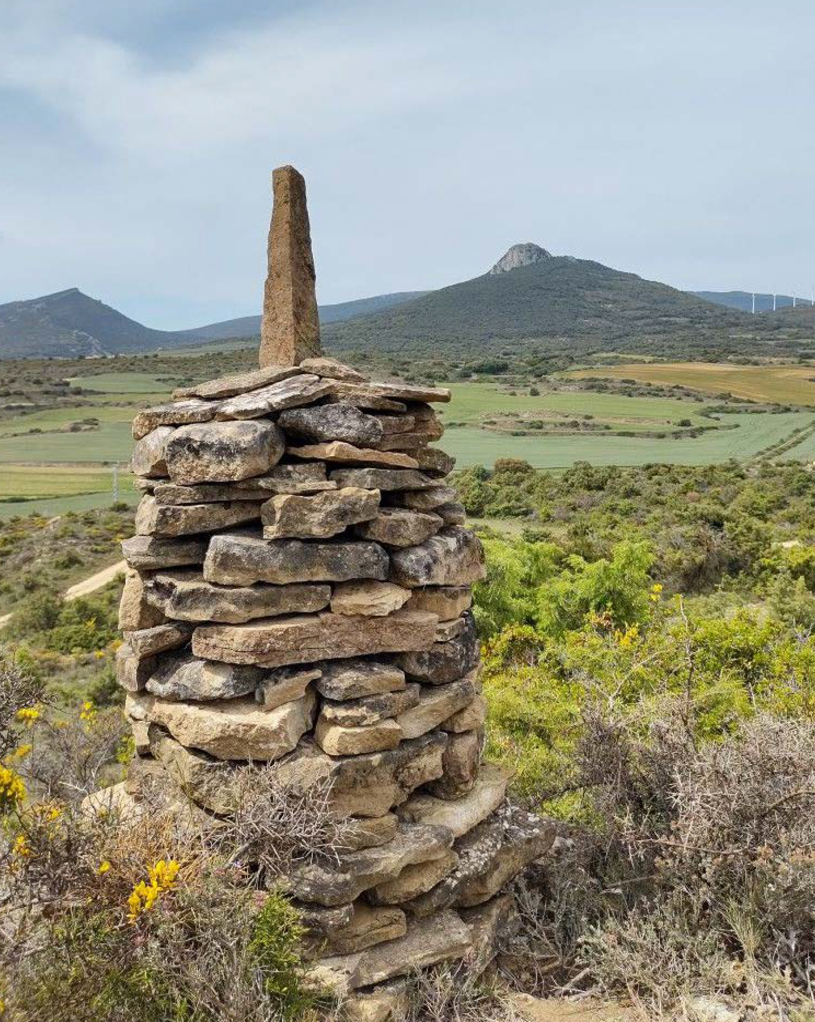 Historic landscape detail at Bellarossa estate