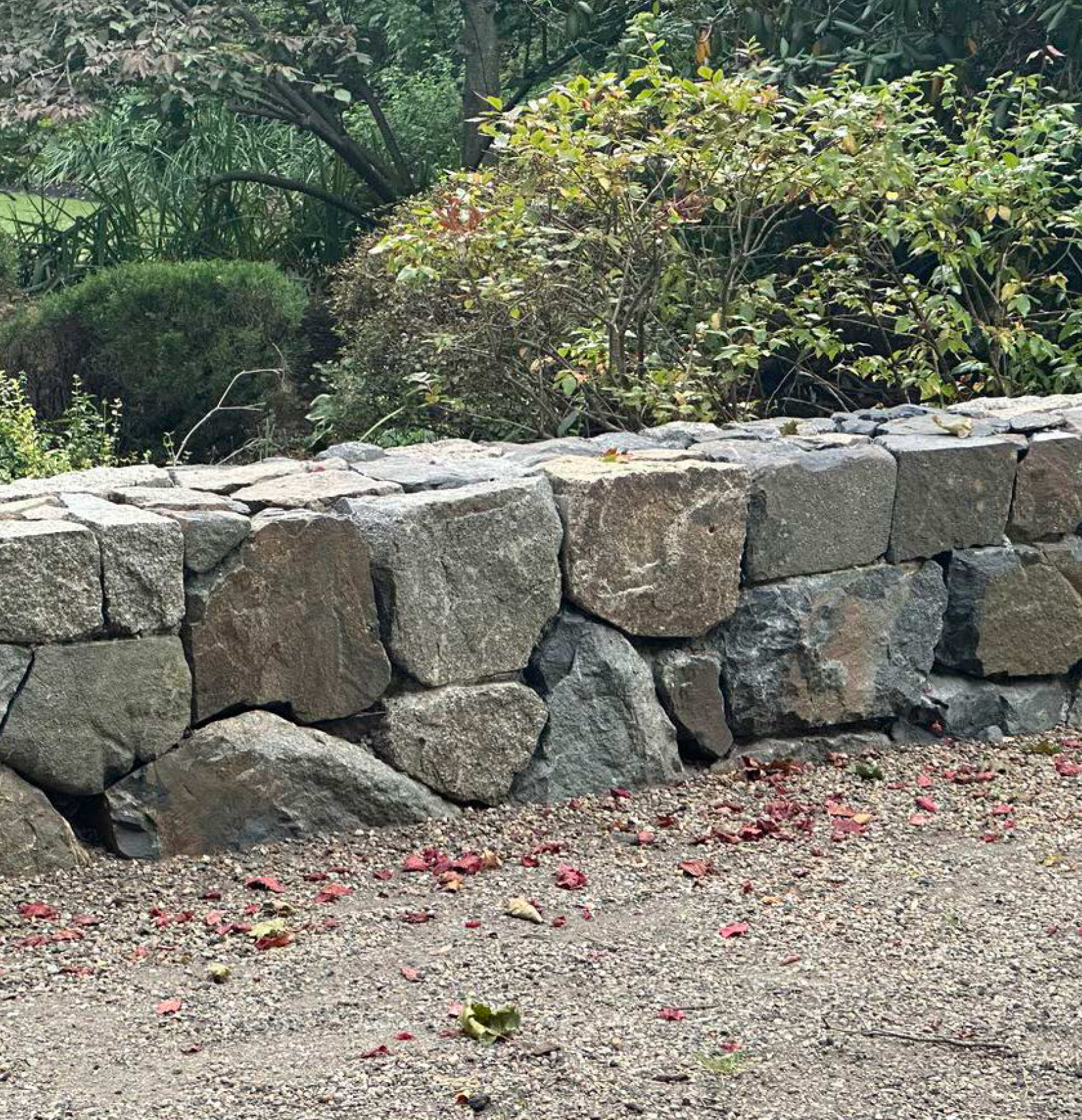 Site wall and stone character at Bellarossa estate