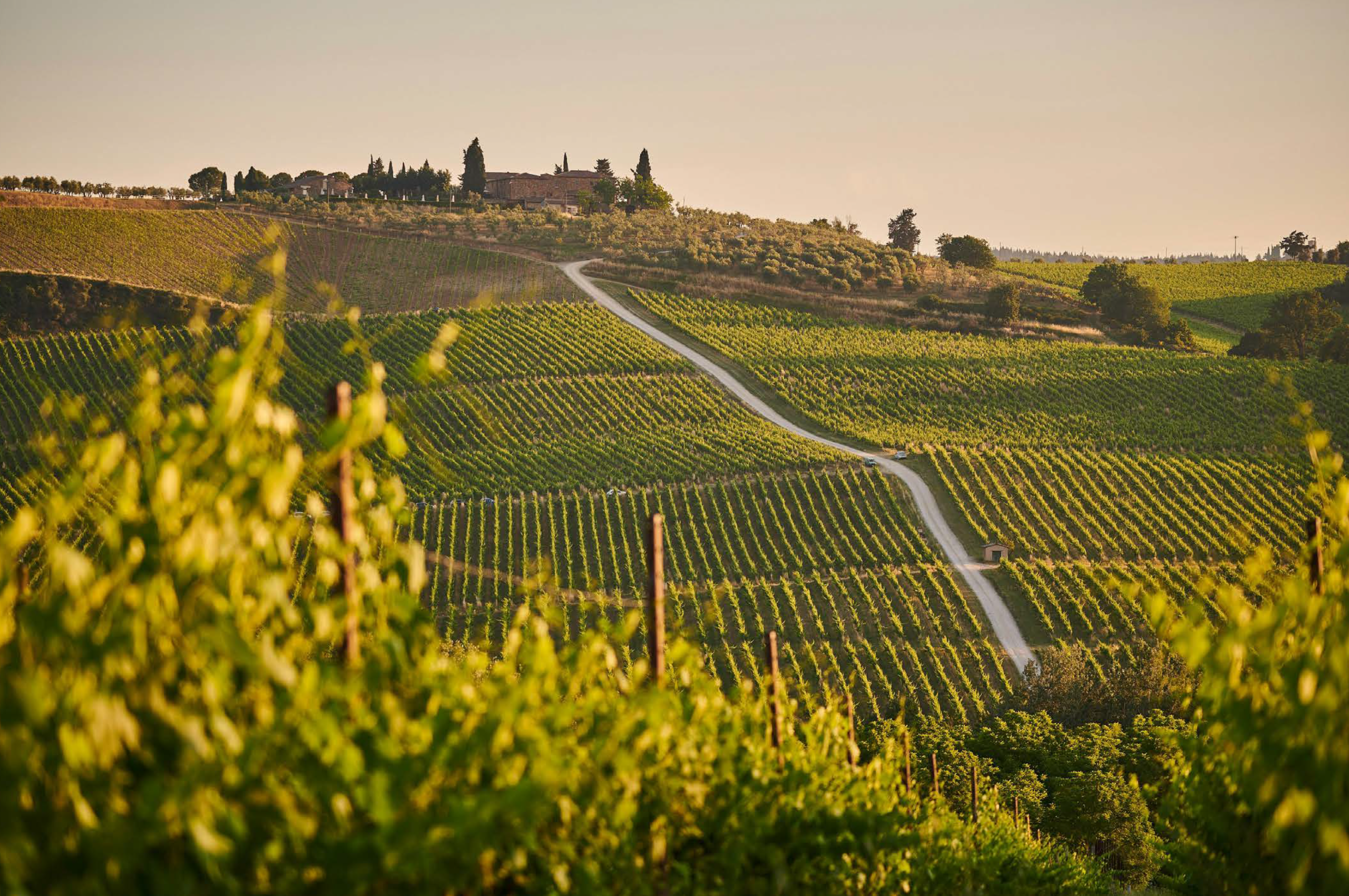 Aerial landscape view of Bellarossa wine country estate in Eagle, Idaho foothills
