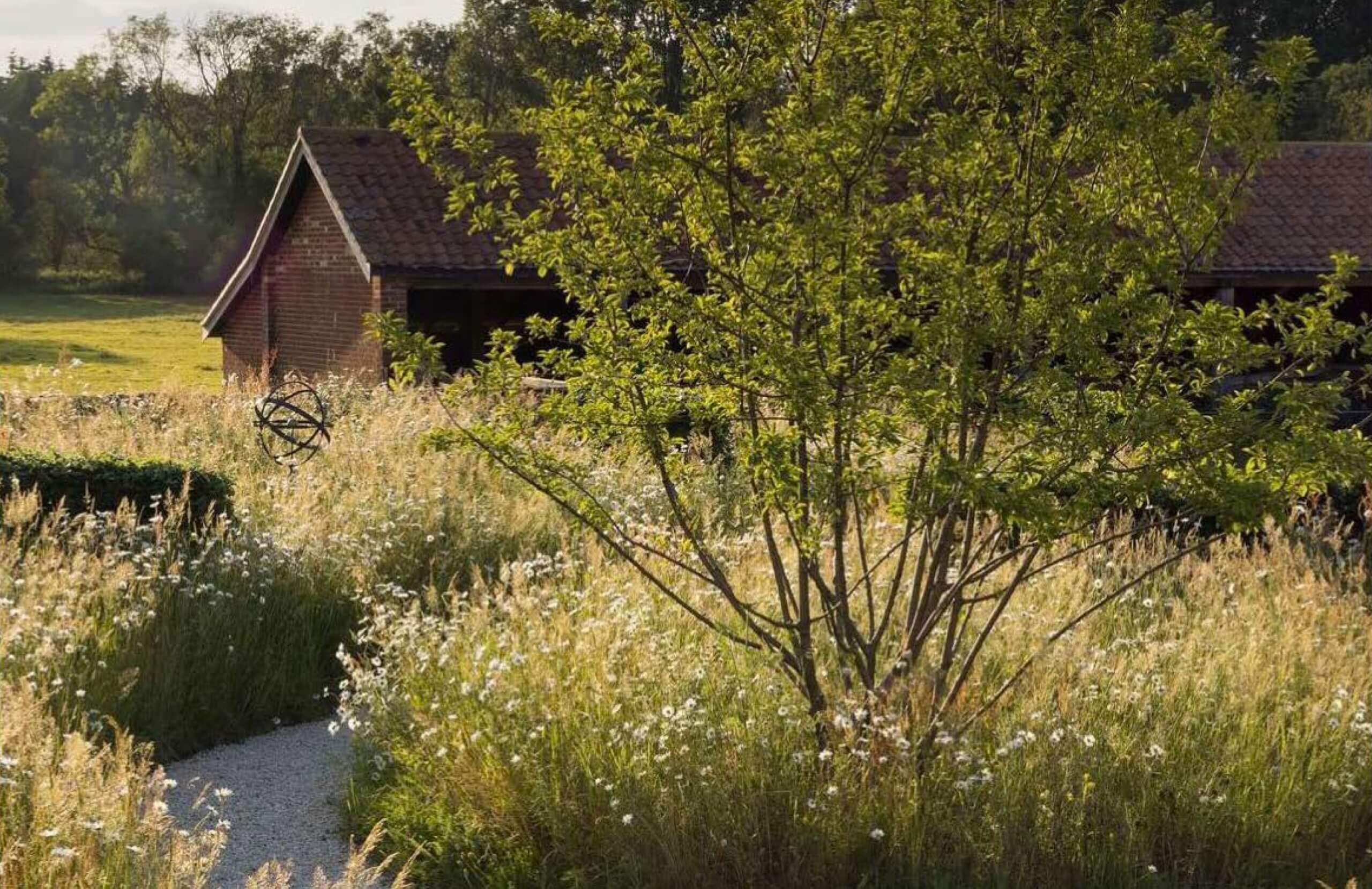 Community gathering space at Bellarossa Idaho estate