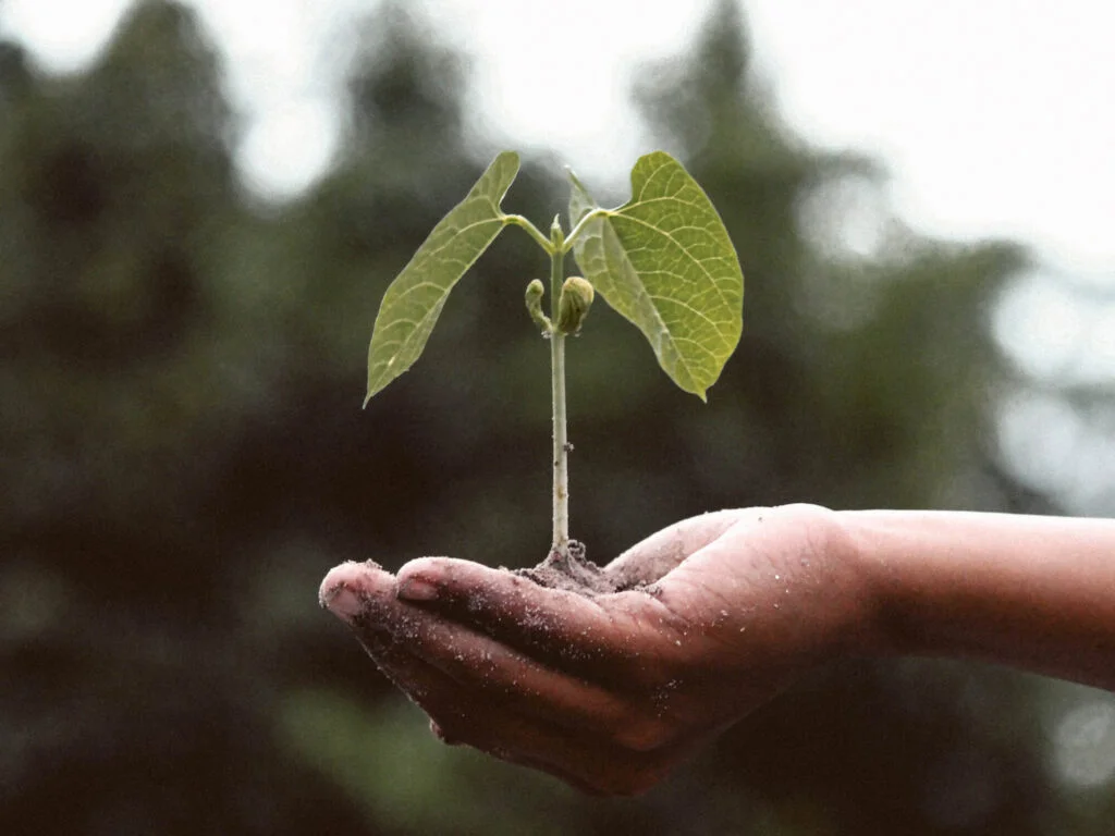 Giving is Living — BioKissed SA
