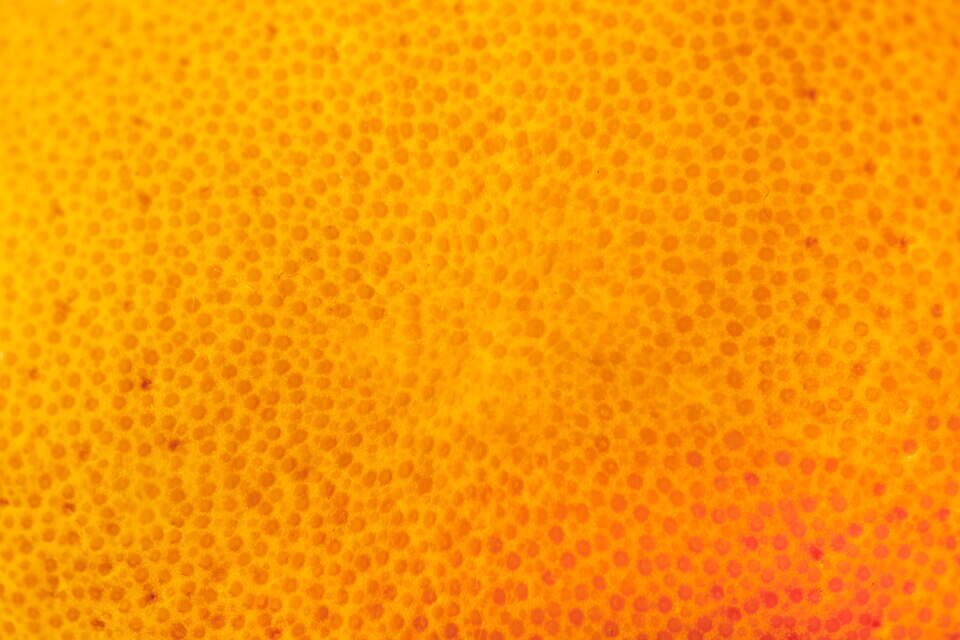 Vitamin C