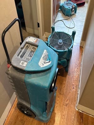 {{ custom_values.service_1 }} in {{custom_values.area_4})