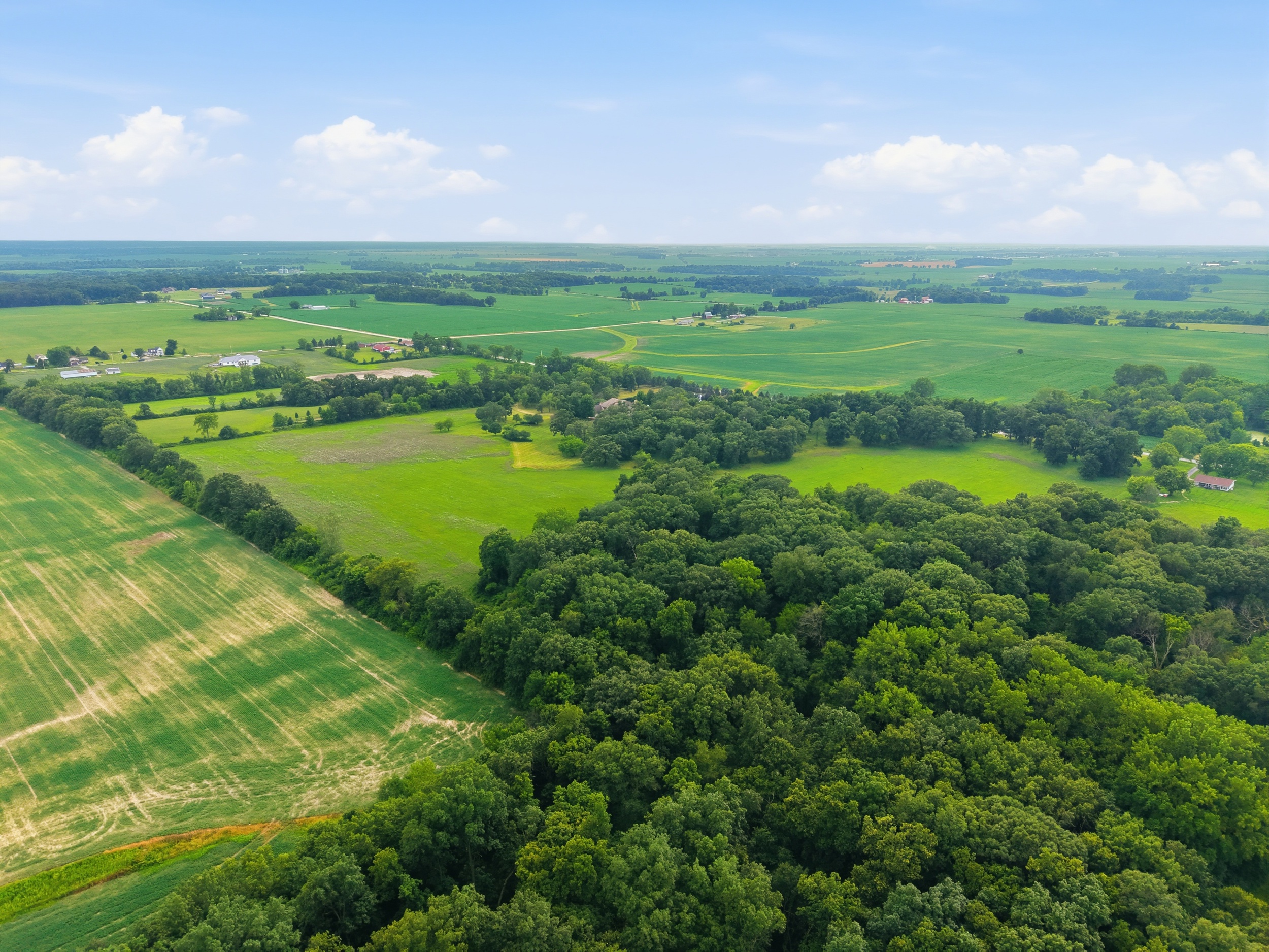 The Hebron Estate — Photo 109