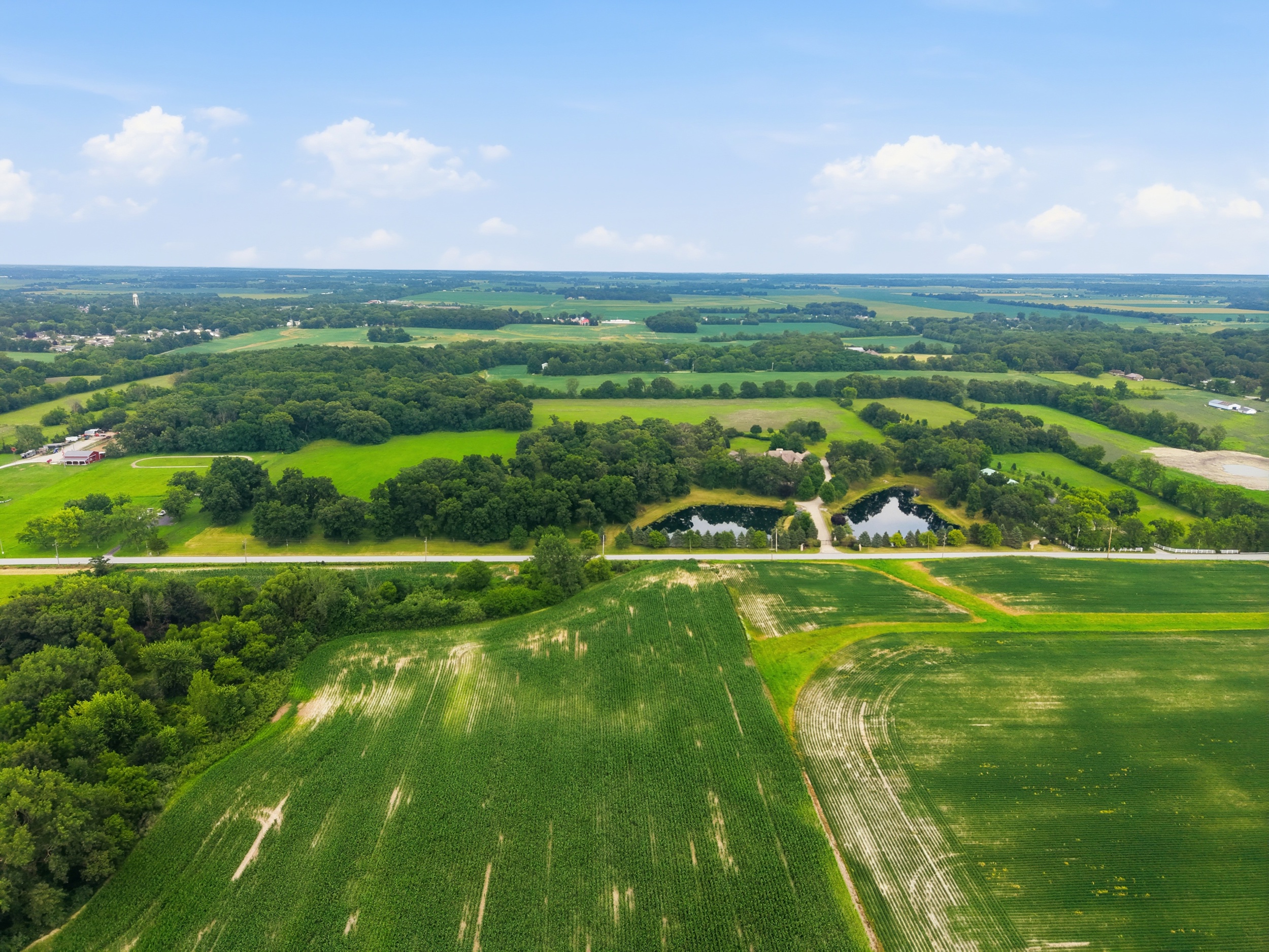 The Hebron Estate — Photo 101