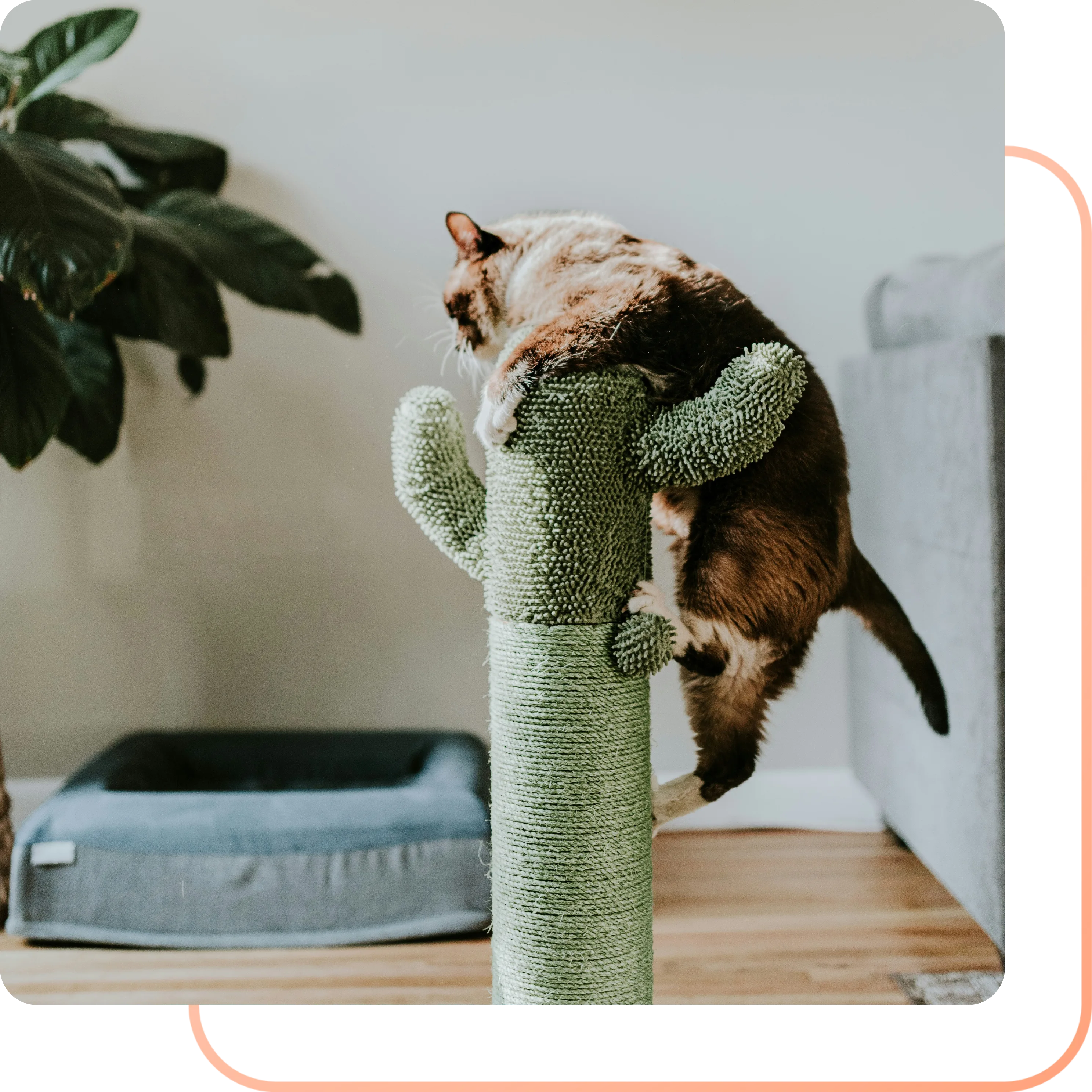 Cat climbing a cactus-shaped scratching post, representing environmental fixes that improved multi-cat households.