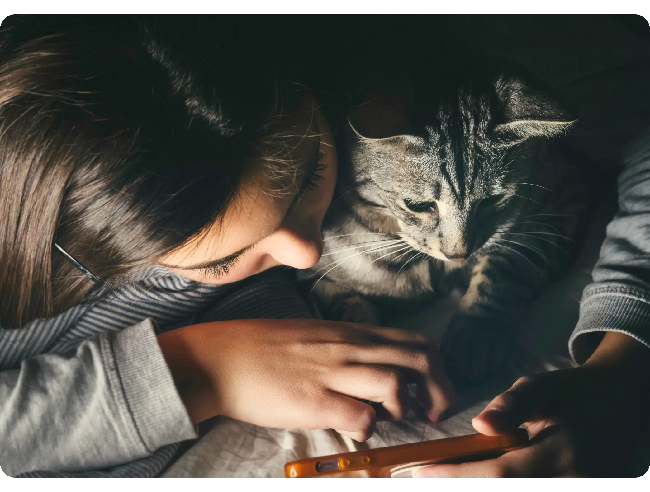 Woman snuggling with her cat while looking at her phone, representing understanding cats and creating peaceful coexistence