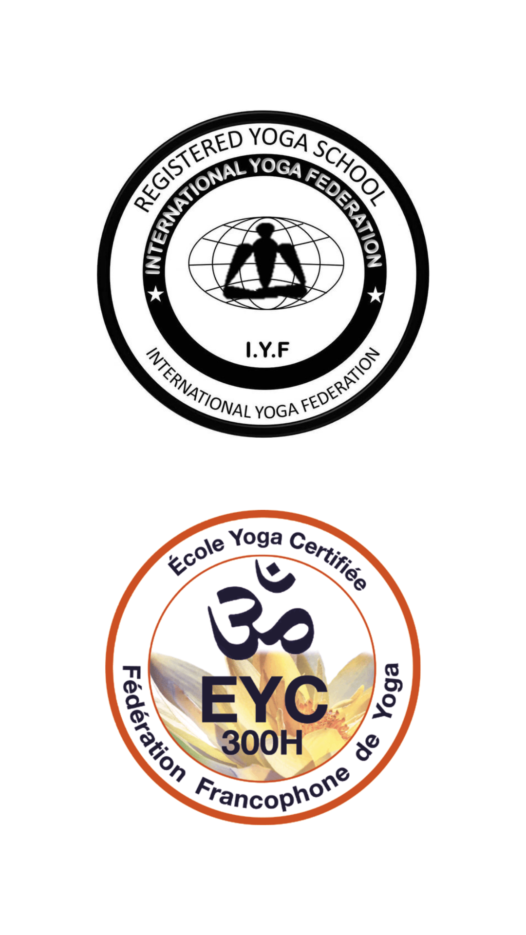 Stage d’enseignement du yoga en ligne