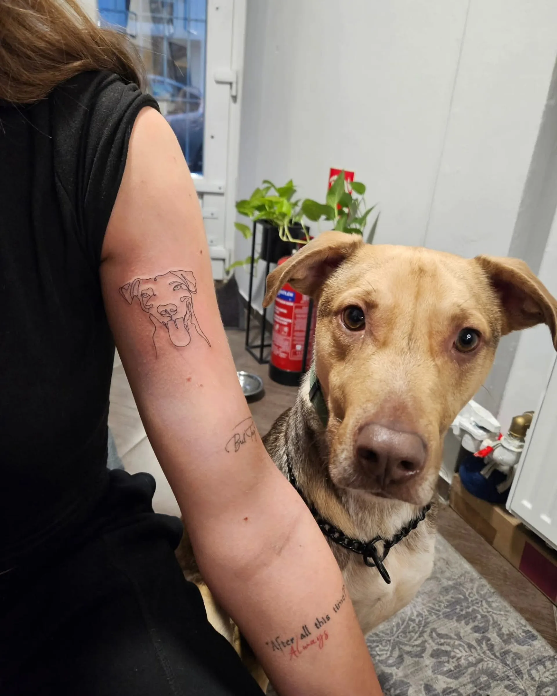 realisztikus kutyaportre kar tetovalas budapest