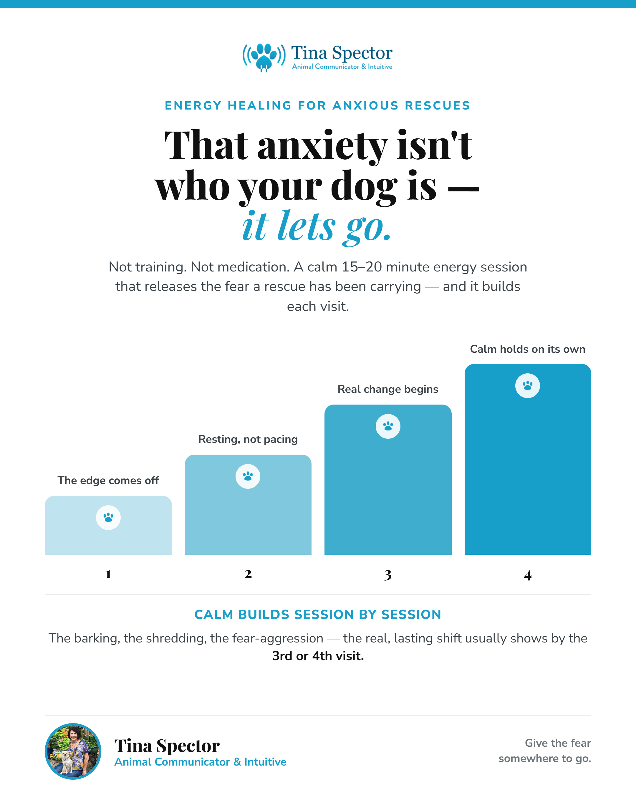 Infographic