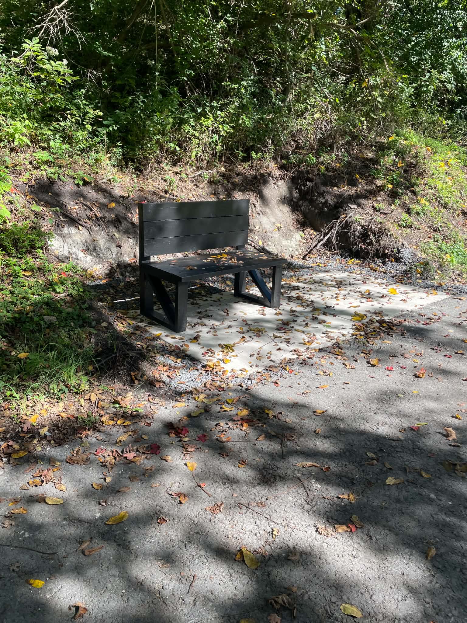 A black bench with a backrest sits on a concrete pad beside Newark’s Erie Canalway Trail, with open space alongside for a wheelchair or walker. Fallen leaves cover parts of the pad and surrounding wooded path. A black bench with a backrest sits on a concrete pad beside Newark’s Erie Canalway Trail, with open space alongside for a wheelchair or walker. Fallen leaves cover parts of the pad and surrounding wooded path.