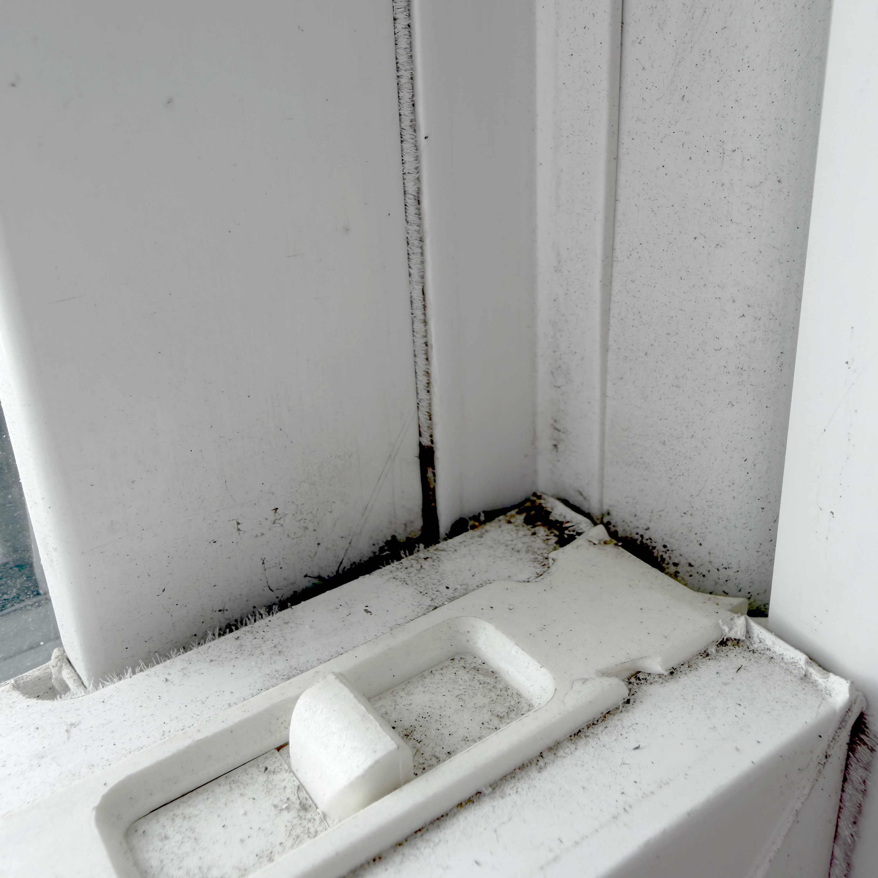 Mold Swab