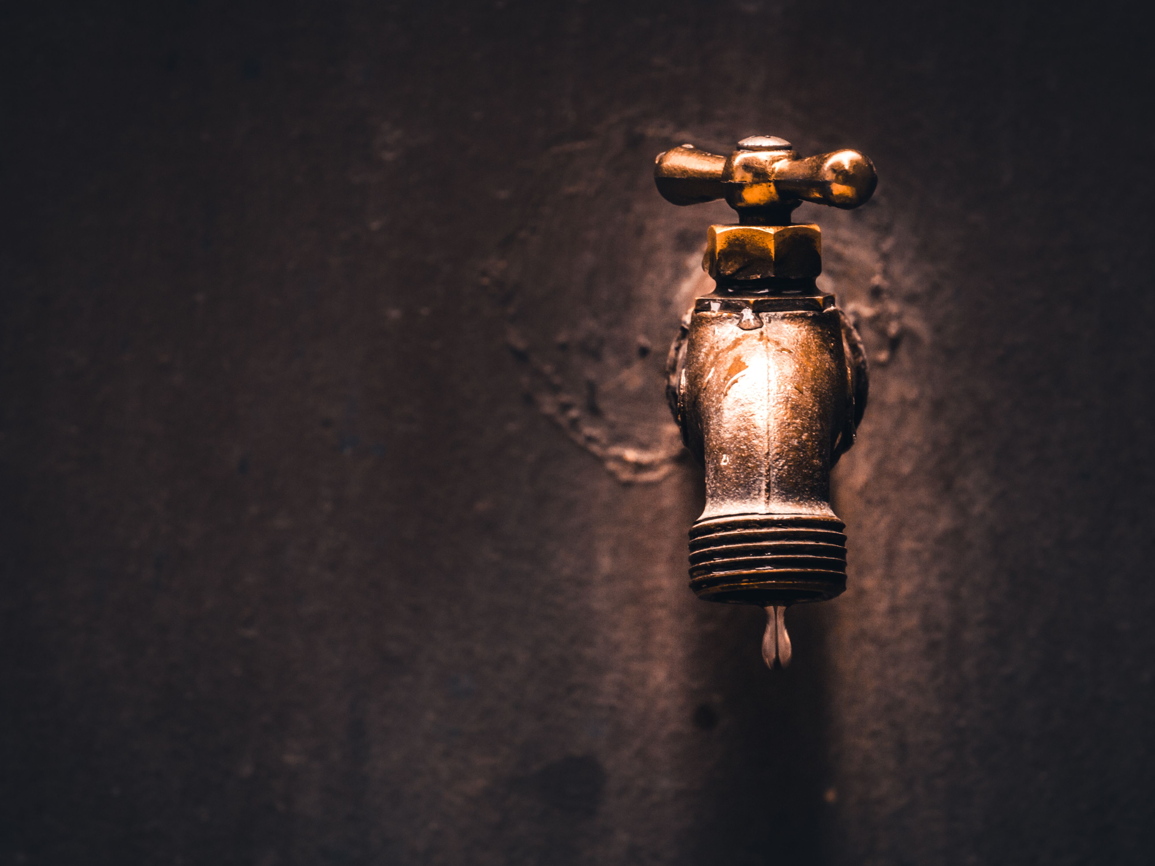 spigot spigot