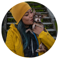 Lily Swift, DiBSTR customer review